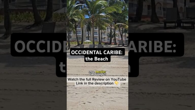 OCCIDENTAL CARIBE: the Beach