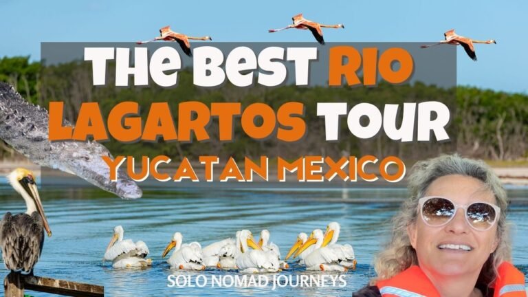 The absolute best Rio Lagartos tour that you can possibly find, my favorite tour in Yucatan, Mexico.
