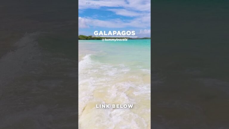 #TommyTravelz #travelnow #traveltips #galapagos #sancristobal #santacruz #islabaltra #isabelaisland