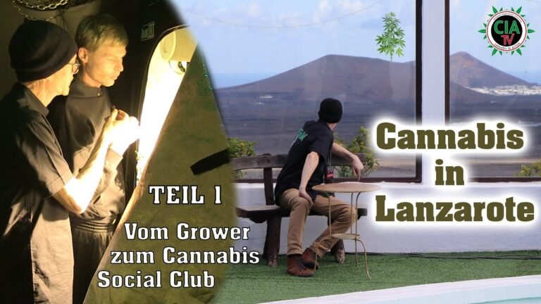 Lanzarote – So wird für die Social Clubs angebaut | TEIL 1