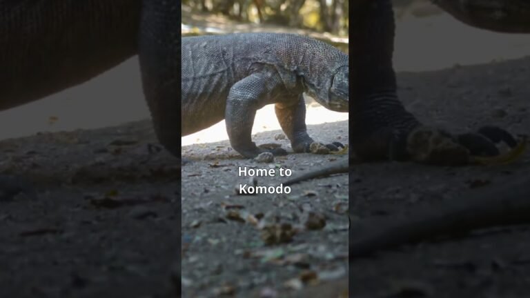 Incredible Places to Visit in Indonesia