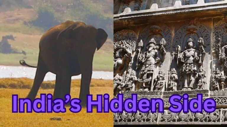 Karnataka Travel Guide: Safaris, Coffee Plantations & Sacred Temples