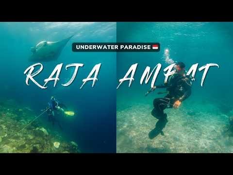 Journey to Raja Ampat 🇮🇩: Explore Kri Island's Underwater Paradise