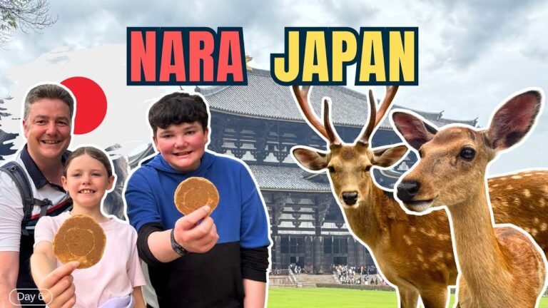 NARA JAPAN – A Very Unique place to FEED THE DEER by Hand