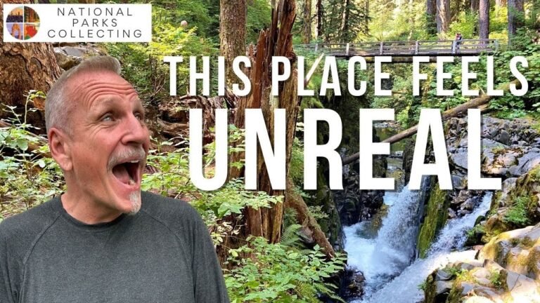 The 10 Best Hikes in Olympic National Park You Must Do