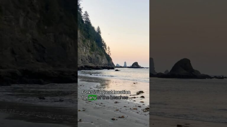 Tip No. 12 for Visiting Olympic National Park #OlympicNationalPark  #TravelTips #USNationalParks