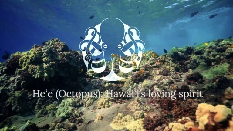 He‘e | Animal Guide| Hawaiʻi | Expedia