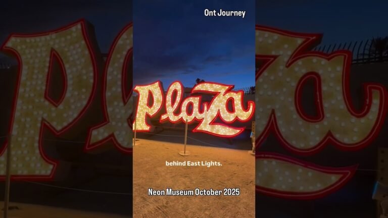 Neon Museum| Something different for date night 💫