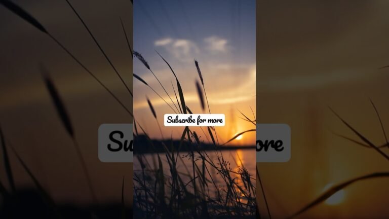 Can't believe 😱 #trending travel guide