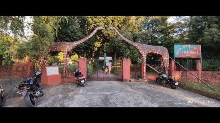 Travelling vlog Tezu to Roing😘😘must watch everyone #longvideos #india #arunapradesh ❤🔥❤.