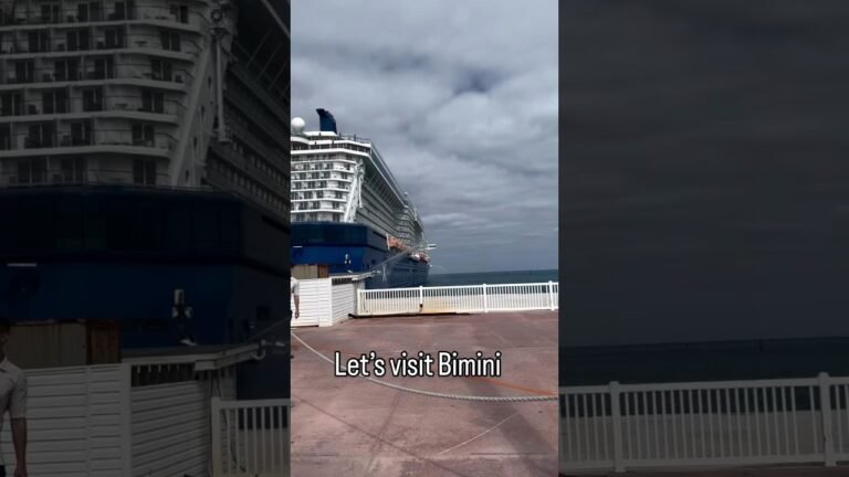 Thinking about visiting Bimini, Bahamas? 🌴