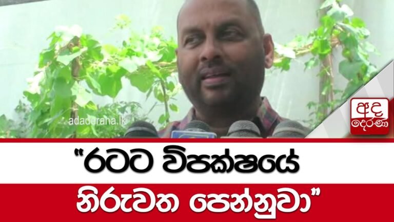 "රටට විපක්ෂයේ නිරුවත පෙන්නුවා"