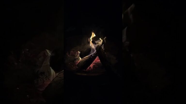 POV Campfire at the beach #travel #fire  #camping #beach