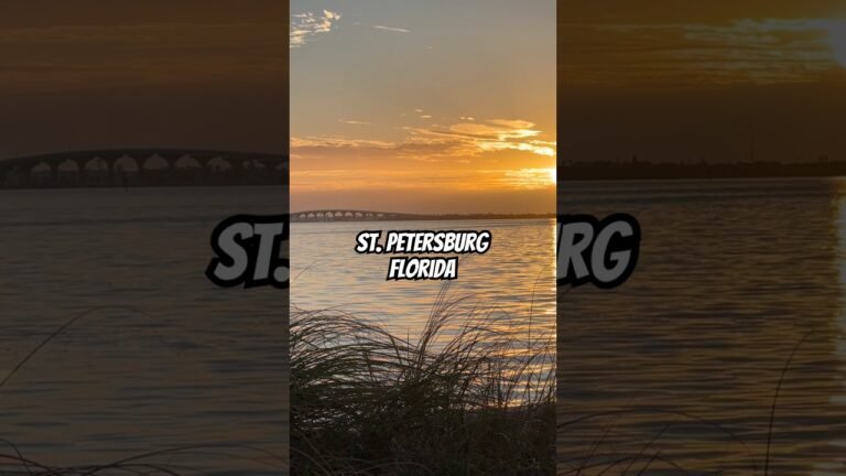 The peaceful sounds #stpetersburgflorida 🥹💙