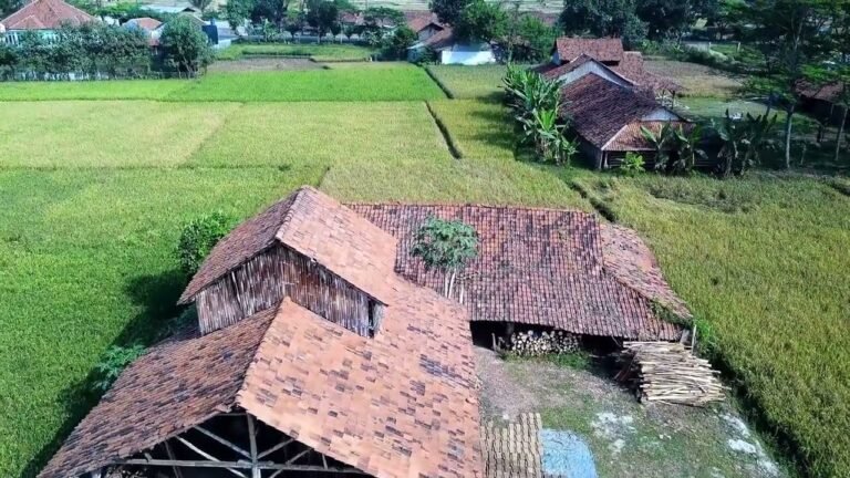 AGRİCULTURE OF INDONESIA