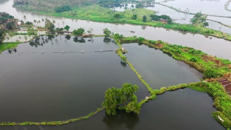 Jawa, Indonesia