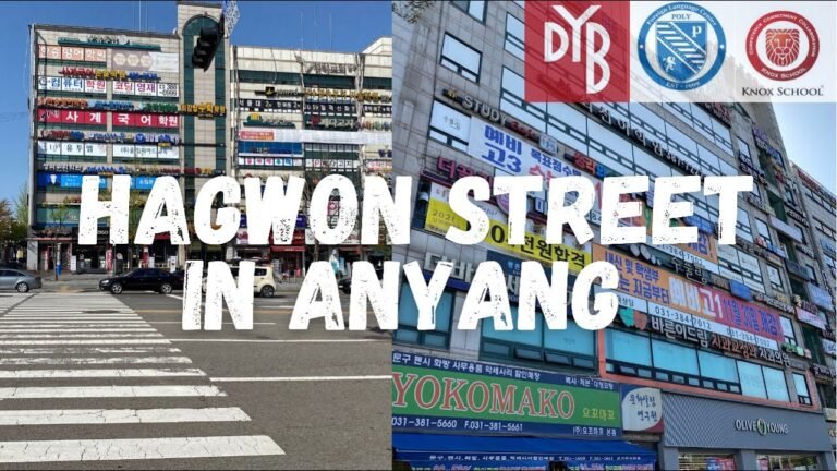 HAGWONS IN KOREA 📚🇰🇷 Hagwon-ga Street Anyang South Korea 안양 학원가사거리
