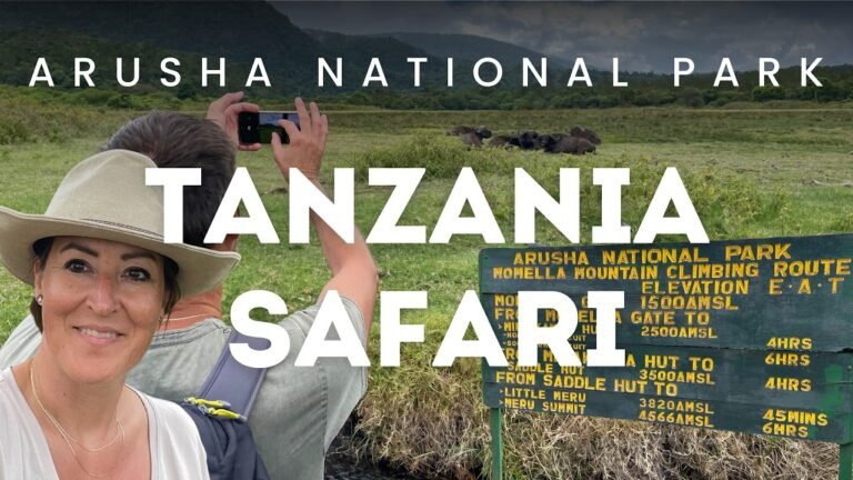 Arusha National Park Safari: Walking Safari, Wildlife & Travel Tips