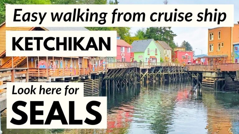 Easy walk to look for harbor seals in Ketchikan cruise port along Creek Street! (Wildlife in Alaska)